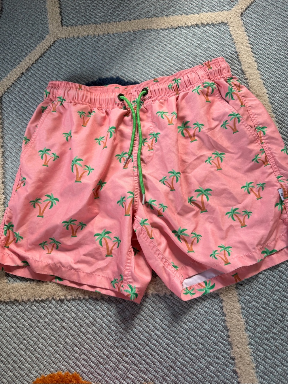 BB Logo Coral Swim Shorts with Green Palm Print